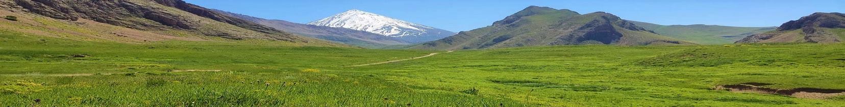 بنر انتهایی